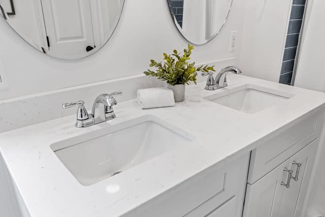 Double vanity with two sinks and round mirrors